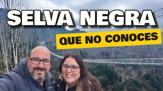 SELVA NEGRA en FURGONETA CAMPER | SUR de la SELVA NEGRA