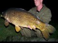 Best of team mongo 2010  2011 big carps up to 52 pound