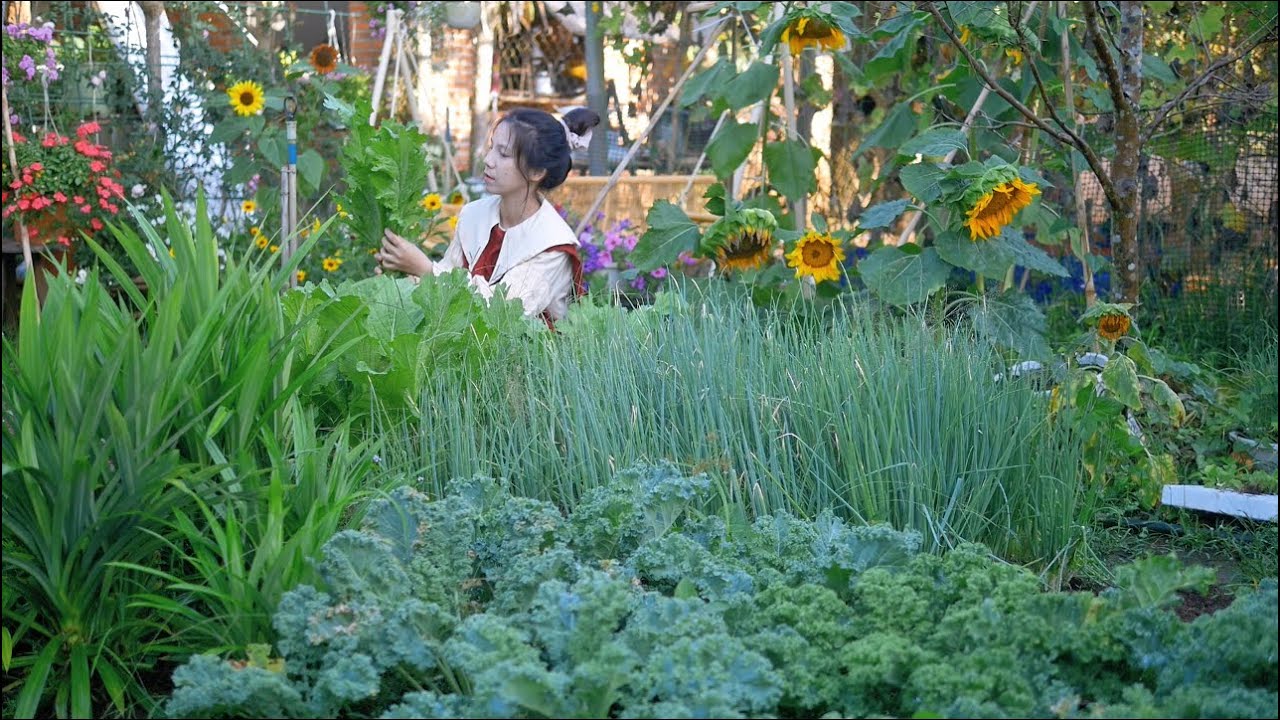 Vlog 7:  Nồi lẩu chua cay với những loại rau hái trong vườn, một ngày ba bữa ăn bình dị và an yên