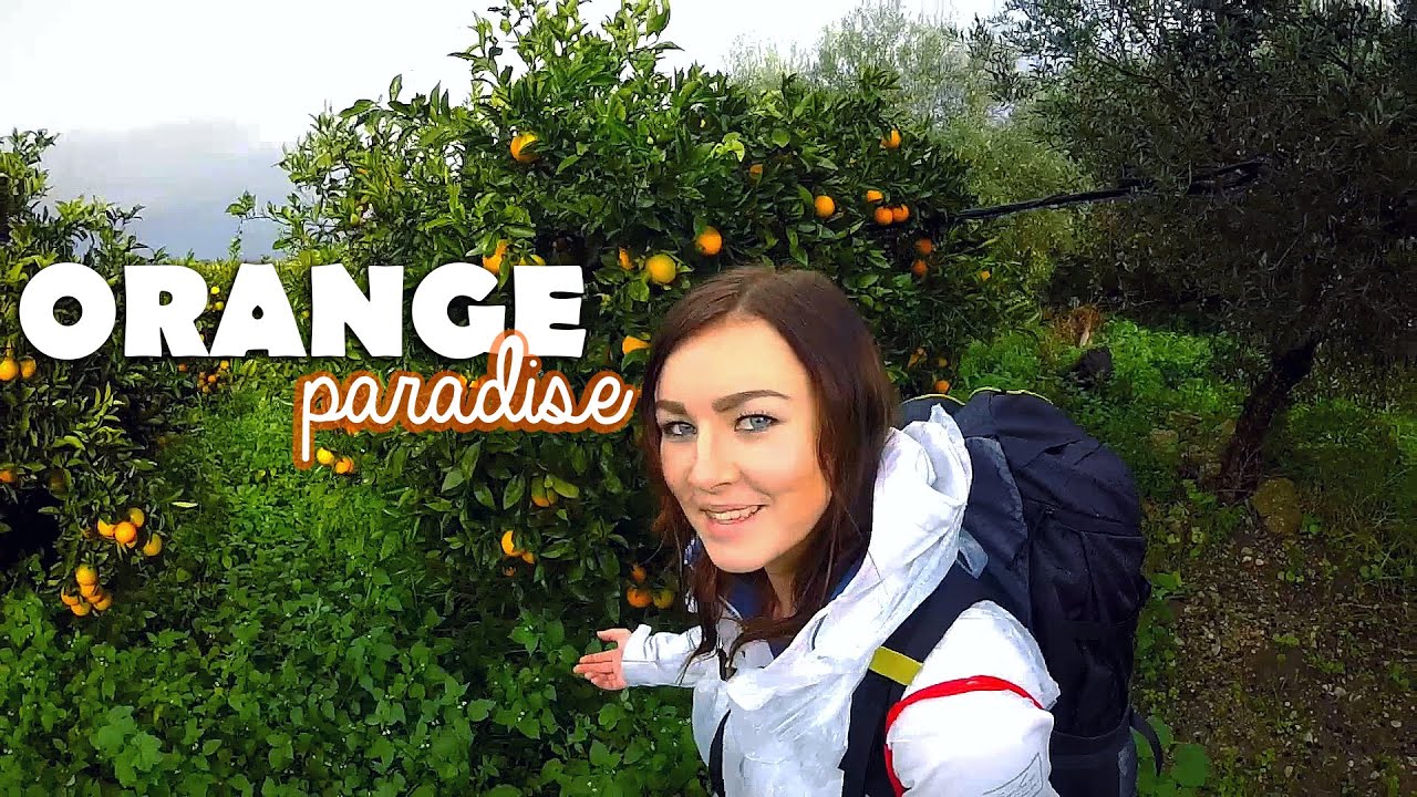 ORANGE PARADISE - Ribera And Sciacca | Sicilian Vibes Ep. 2