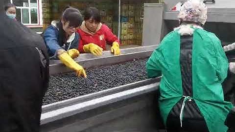 Grape Juice production line
