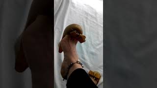 Dangling And Shoeplay Cleavage Jelly Den Glitter Ballerinas Flats