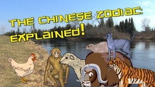Chinese Zodiac Explained | Learn Chinese Now Wealth
