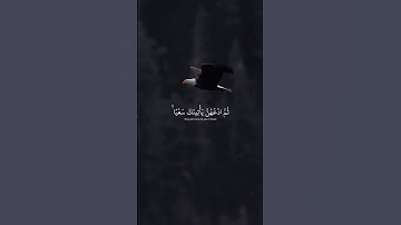 القارئ عبدالله احمد شعبان سورة البقرة #صلوا_على_النبي #قرآن #quran