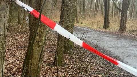 Eén jaar cel en jeugd-tbs voor 14-jarige jongen die Schiedamse Joni doodstak