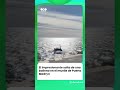🐋 ESPECTÁCULO EN PUERTO MADRYN