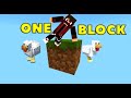 ONE Block PUBLIC SMP | JAVA + PE EDITION | MINECRAFT SURVIVAL LIVE