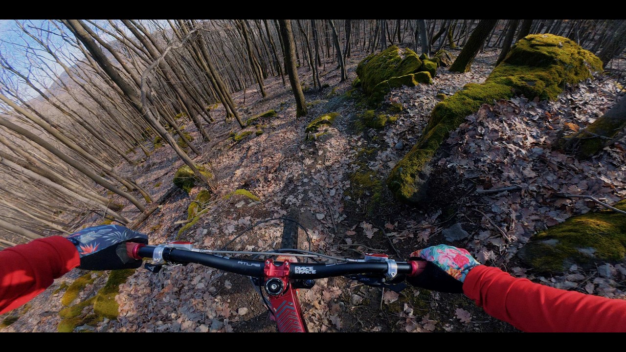 Talajviszonyok Kövestetőn