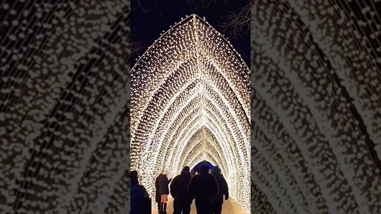 WINTER CATHEDRAL LIGHTSCAPE CHICAGO BOTANIC GARDEN ILLINOIS USA 