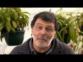 Lesprit des plantes   documentaire