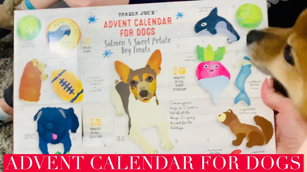 Trader Joe's Advent Calendar for Dogs Salmon and Sweet Potato Dog