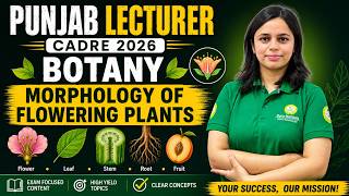 Punjab Lecturer Cadre 2026 Botany | Morphology of Flowering Plants (Most Important Topics)