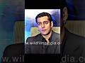 Salman Khan #bollywood #movie #salmankhan #hindi #india