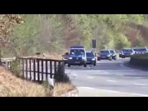 موكب أردوغان في ألمانيا