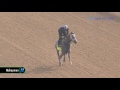 Mohaymen gallops 4.25
