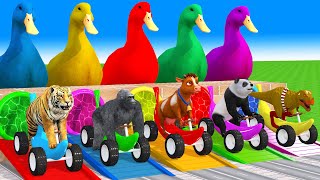 5 Giant Duck, Monkey, Piglet, chicken, buffalo, lion, cow, Sheep, Transfiguration funny animal 2023