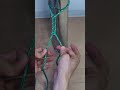1分でわかる自在結びのやり方(free knot) #shorts