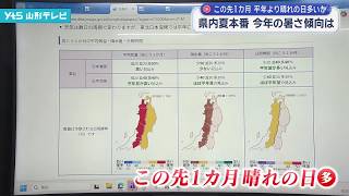 県内夏本番 今年の暑さの傾向は　この先1カ月、晴れの日多いと予想