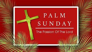 Our Lady of Lourdes Catholic Church - Palm Sunday of the Lord's Passion