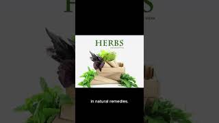 Discover the Hidden Knowledge of Dr. Sebi's Herb Encyclopedia  #book #garden #herbsknowledge