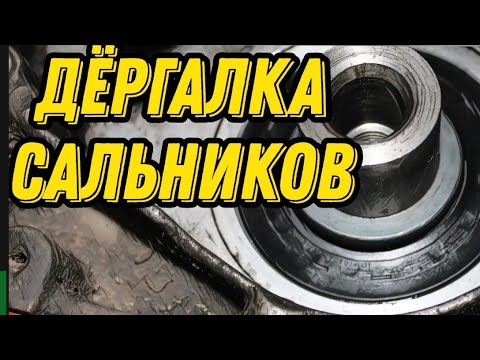 Как вытащить сальник коленвала / распредвала. Дёргалка сальников