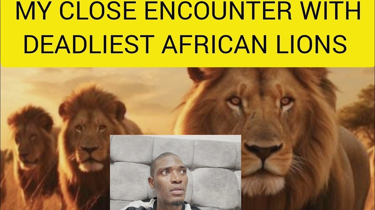 AN ENCOUNTER WITH AFRICAN WILD ANIMALS 😭😭😭 - YouTube