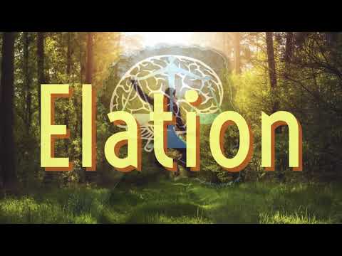 Just Wisdom - Elation