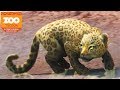 NEW ANIMALS, NEW ZOO! | Zoo Tycoon : Ultimate Animal Collection #1