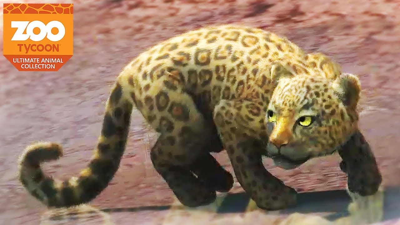 Zoo Tycoon: Ultimate Animal Collection News and Videos