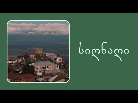 მომღერალი კატა სიღნაღიდან • GTA სიყვარულის ქალაქში • ვლოგი