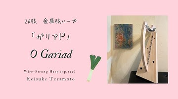O Gariad, Welsh「ガリアド」 （空も青きガリラヤの）20弦国産ヒノキ製金属弦ハープ(op.329) による演奏。