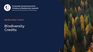 Biodiversity Credits