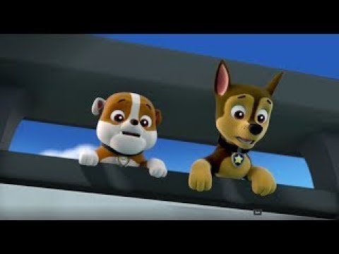 Paw Patrol S01e01 Best Funny Moment Compilations Youtube 