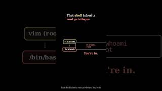 03. Your sudo config just gave me root