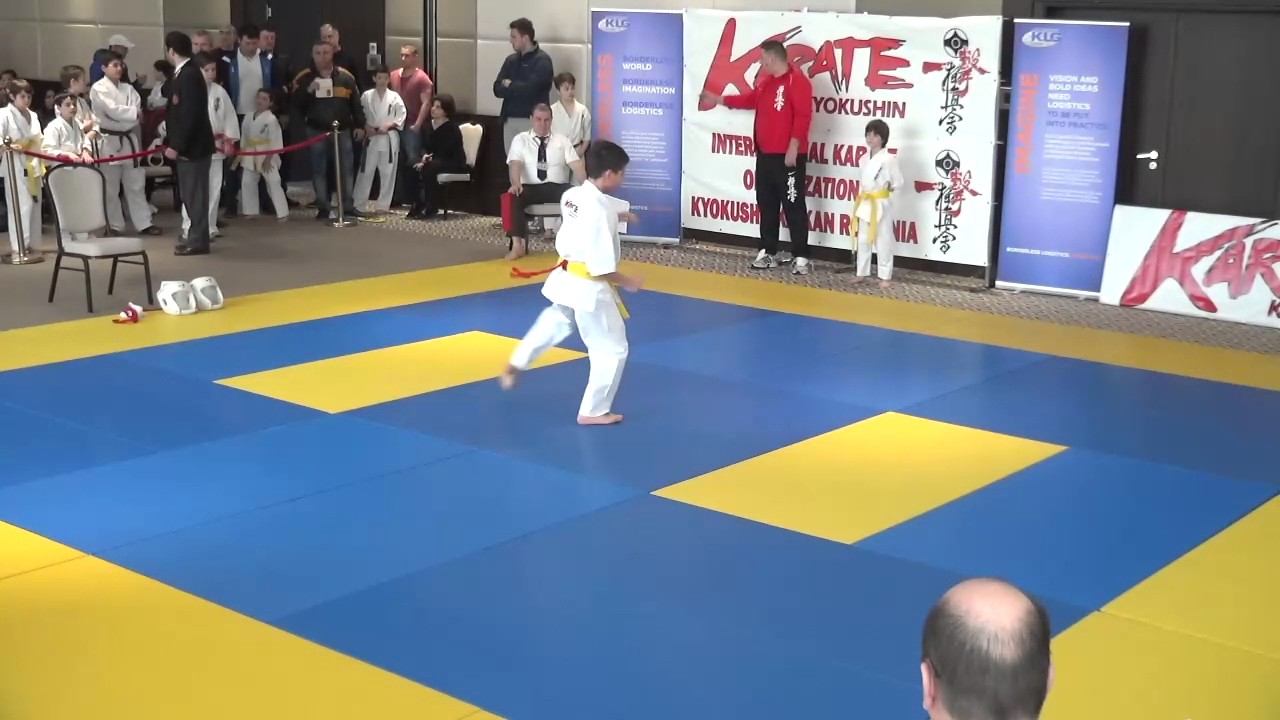 Budo Master Cup 2017 - suprafata B internet tv hogar