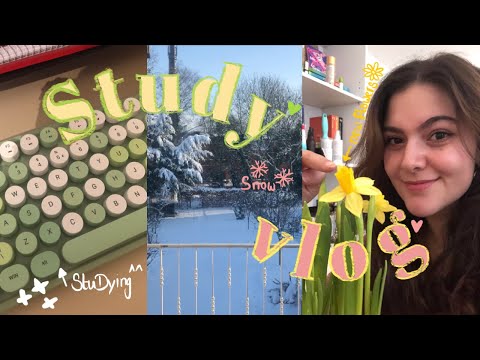STUDY VLOG: dealing with first exam season,quitting my job,first snow in years,adorable cat content