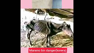 Korera Nareta Obosoku No Omokongo