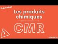 Les produits chimiques cmr cancrognes mutagnes reprotoxiques