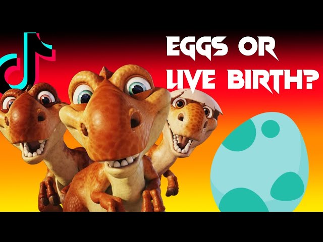 TIKTOK: DINOSAUR EGGS OR LIVE BIRTH