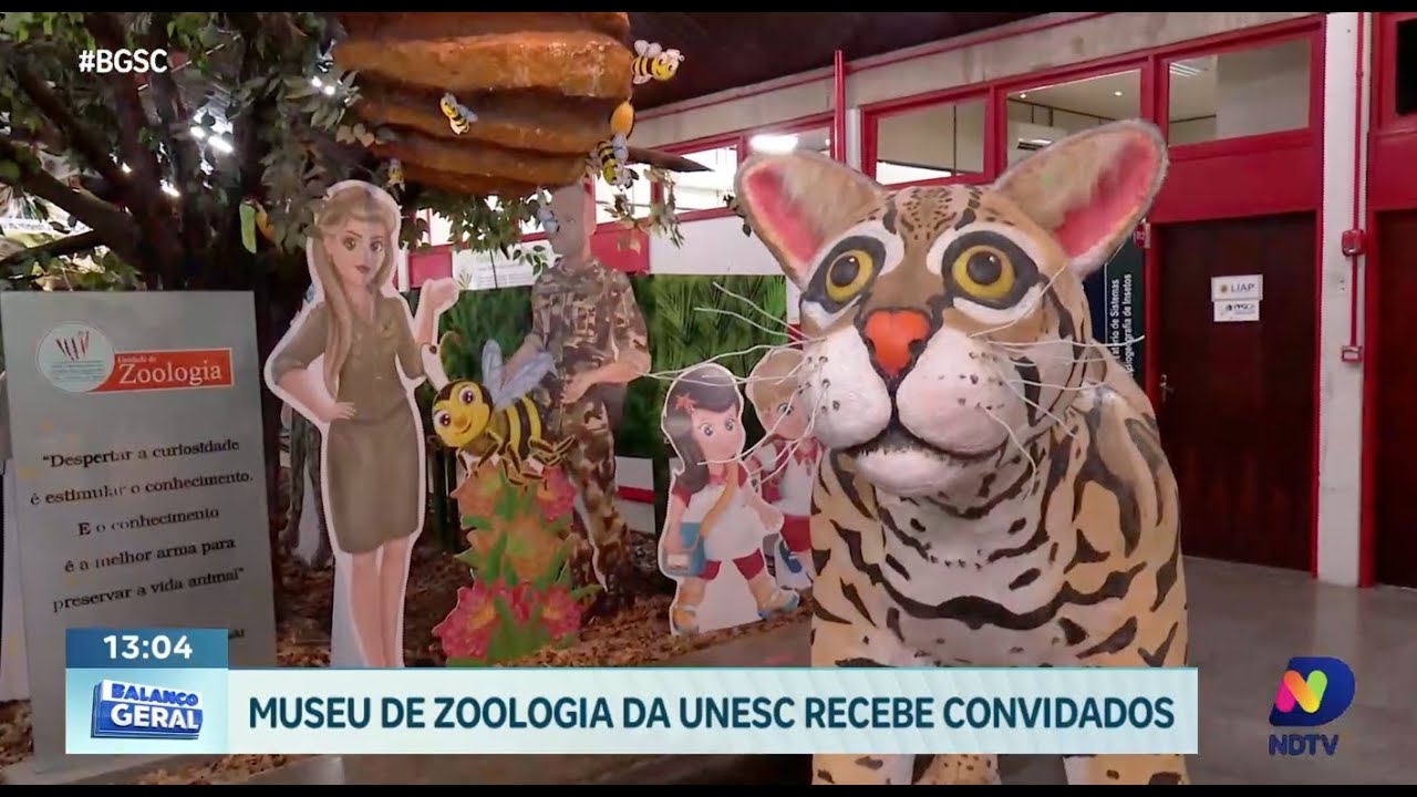 Muzoo da Unesc: uma experiência fascinante para as crianças nas férias