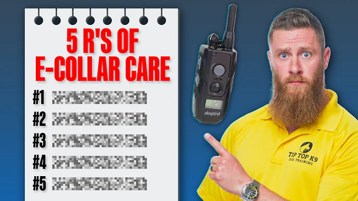 STOP Using Your E-Collar WRONG | Tip Top K9 Dog Training Tips