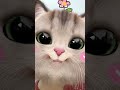itni buri bat bhi nhi h gali dena 😂😂#catvideos#viralvideo#trendingreels#funny#voiceeffects#selflove.