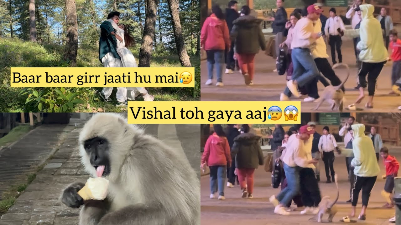 Vishu Ke Peeche Langoor Padh Gaya😰🐒 || Yeh Bahot Zyada Darta Hai Inse💔😭