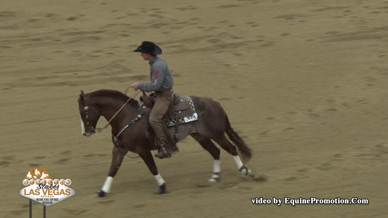 Brother Jackson ridden by Zane P. Davis  - 2019 NRCHA Stallion Stakes (Rein Work, Open Bridle Spec.)