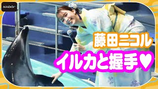 藤田ニコル、イルカと握手し大喜び　久々の浴衣姿も披露