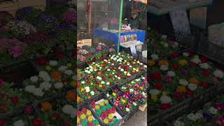 Цветочный базар на Чорсу.Ташкент.Март 2024.