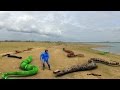 Slither Io In Real Life