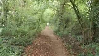 20200629 #1 The Rambling Rambler, The Green Way Coventry, UK