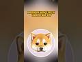 What Crypto Meme Coin Can EXPLODE in 2026?! KIBSHI