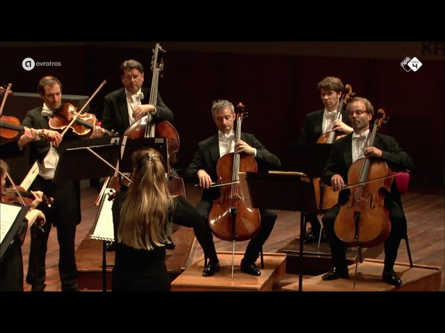 Elgar - Sérénade pour cordes: 1er mvt : Symph BBC / E.Gardner